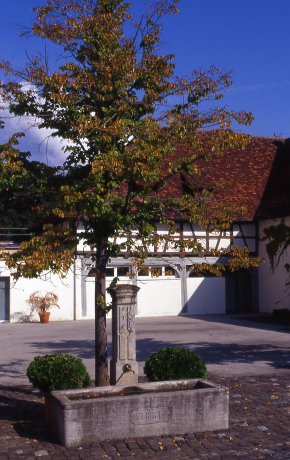 Markgraeflich Badischer Gasthof Schwanen Salem  Buitenkant foto